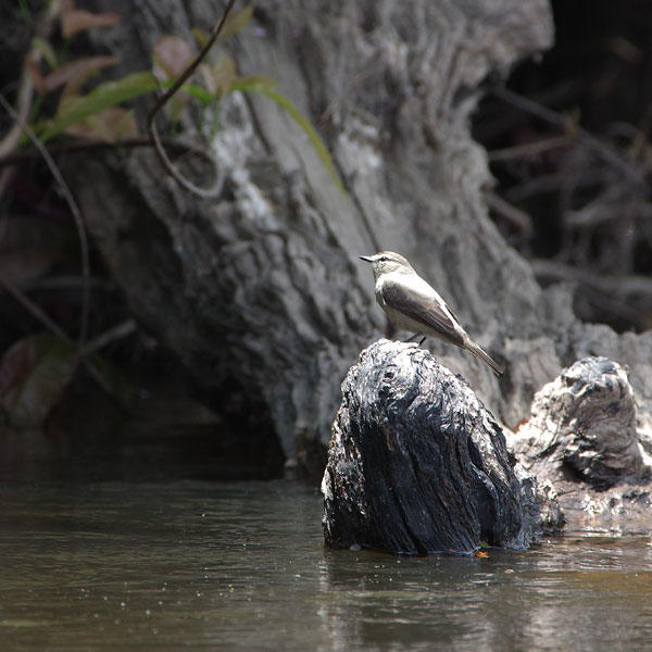 Stacks Image 69