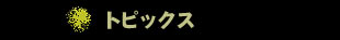 最新トピックスはこちらから