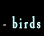 birds