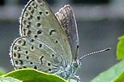 My image