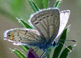 My image
