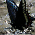 My image
