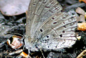 My image