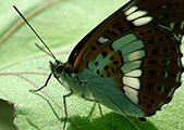 My image