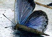 My image