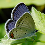 My image