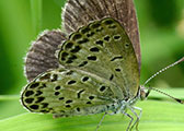 My image