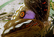 My image