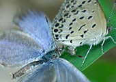 My image