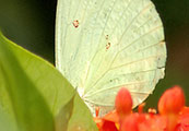 My image
