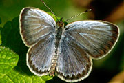 My image