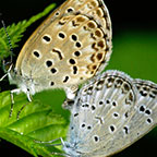 My image
