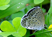 My image