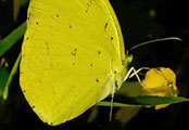 My image