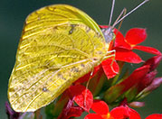 My image