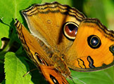 My image