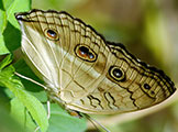 My image