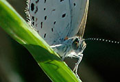 My image