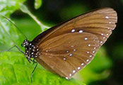 My image