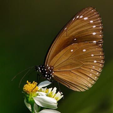 My image