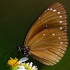 My image