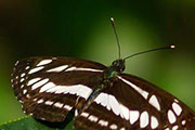 My image