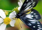 My image