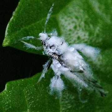© 2012, n.takano. all rights reserved.