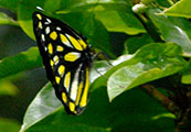 My image