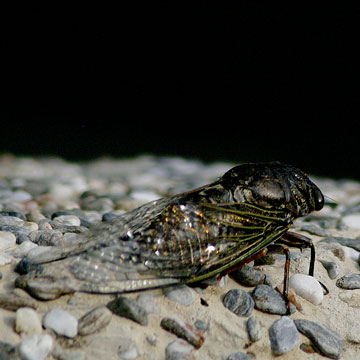 © 2012, n.takano. all rights reserved.