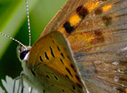 My image