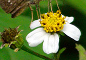 My image