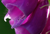 My image