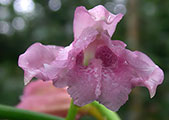 My image