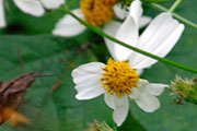 My image