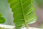 My image