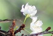 My image