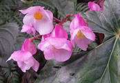 My image
