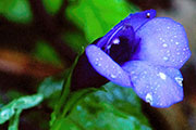 My image