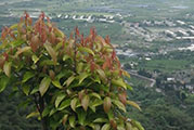 My image