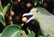 My image