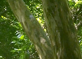 My image