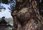 My image